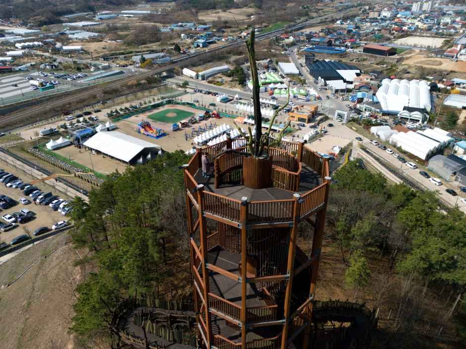 2026 옥천묘목축제 (2).jpg