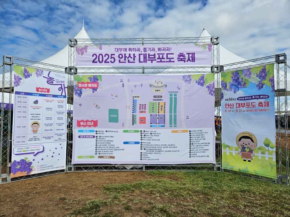 2026 안산 대부포도축제 (3).jpg