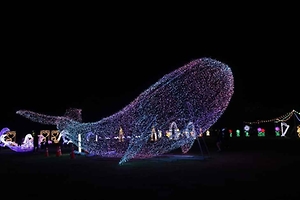 2026 대덕물빛축제 (4).JPG