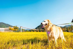 2026 포천펫스타 (2).jpg