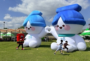 2026 장성 황룡강 가을꽃 축제 (1).jpg