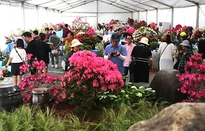 2026 단양 소백산 철쭉제 (1).JPG