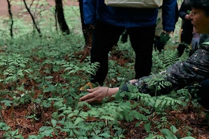 2026 영양 산나물 축제 (6).jpg