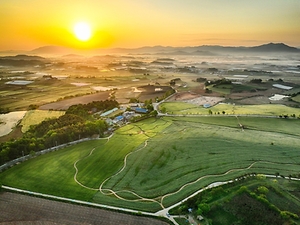 2024 고창청보리밭 축제 2