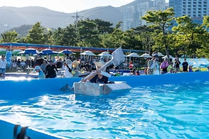 2026 거제여름해양축제 (5).jpg