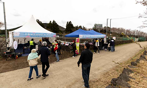 2026 골체오름 벚꽃축제 (5).png