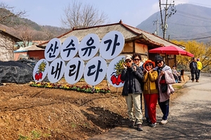 2025 양평산수유한우축제 2