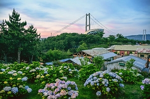 2025 장생포 수국 페스티벌 대표 이미지