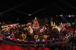 2025 함평 겨울빛축제 4