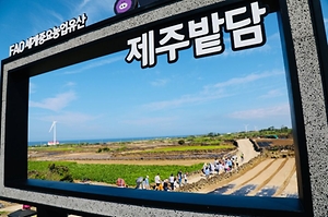 2025 제주밭담축제 1