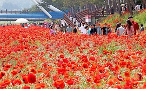 2026 괴산빨간맛페스티벌 (7).jpg