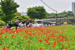 2026 장성 활룡강 음악 힐링 축제 (1).jpg
