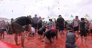 2025 둔내고랭지토마토축제 4