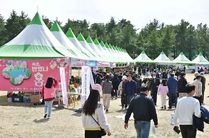 2026 영랑호 벚꽃축제 (2).jpg