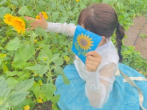 2025 해와 바람의 정원, 해바라기 꽃길 3
