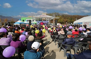 청춘양구 펀치볼 시래기 사과축제