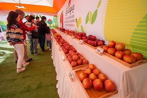 2025 청춘양구 펀치볼 시래기사과축제 5