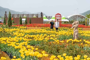 2026 포천 한탄강 가든페스타 (5).jpg