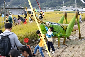 2024 성주가야산황금들녘메뚜기축제 1