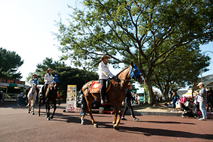 제주마 축제 4