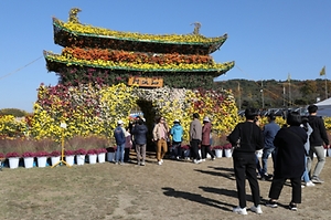 백제고도부여국화축제 (2)