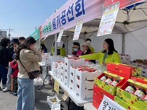 2025 완주삼례딸기대축제 1