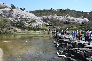 2026 생거진천 농다리축제 (3).JPG