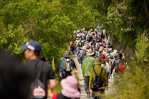 2026 영주 소백산철쭉제 (9).jpg