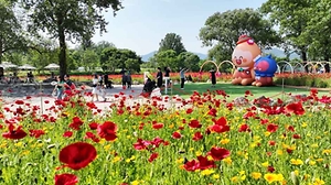 2026 Colorful Garden 자라섬 꽃 페스타  (1).jpg