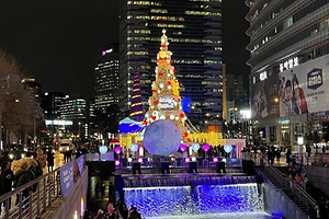 2025 겨울, 청계천의 빛 4