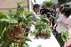 경춘선 공릉숲길 커피축제 이미지