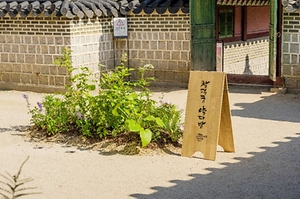 2025 창덕궁 약다방 축제 2