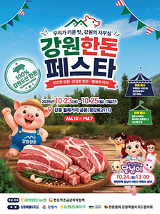 2026 강원한돈페스타 포스터.png