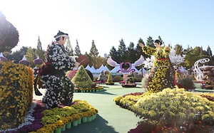 2026 익산천만송이 국화축제 (7).jpg