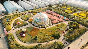 2024 거제섬꽃축제 3