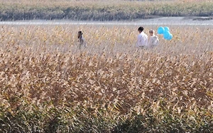 강진만 춤추는 갈대축제 (4)