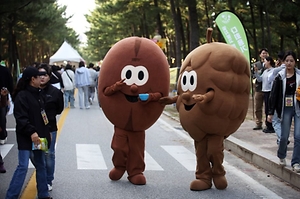 강릉커피축제