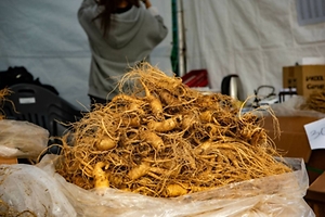 2025 진안홍삼축제 2