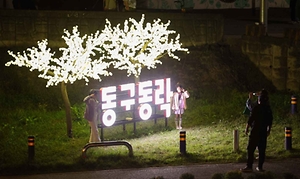 2024 대전 동구동락 축제 이미지 2