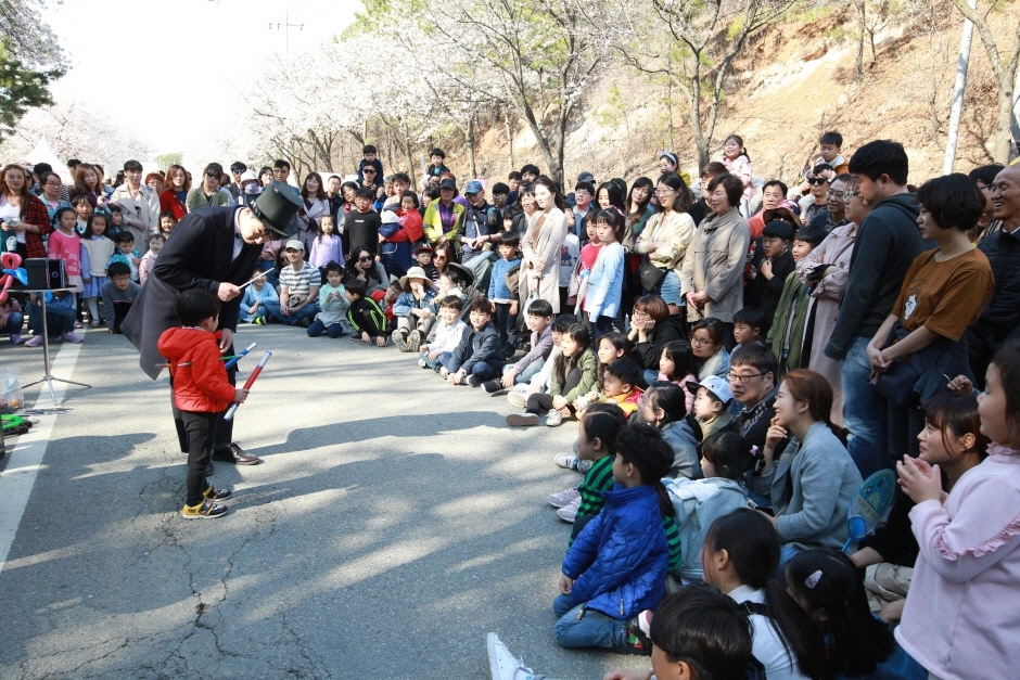 제7회 여주흥천남한강 벚꽃축제 (1)