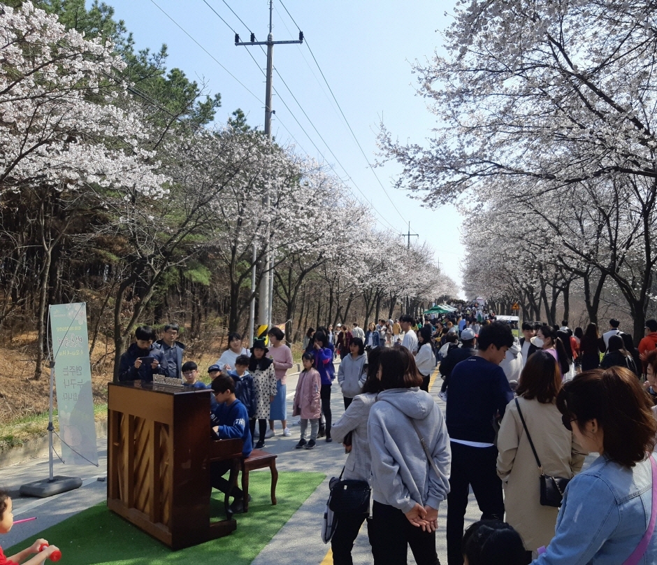 제7회 여주흥천남한강 벚꽃축제 (3)