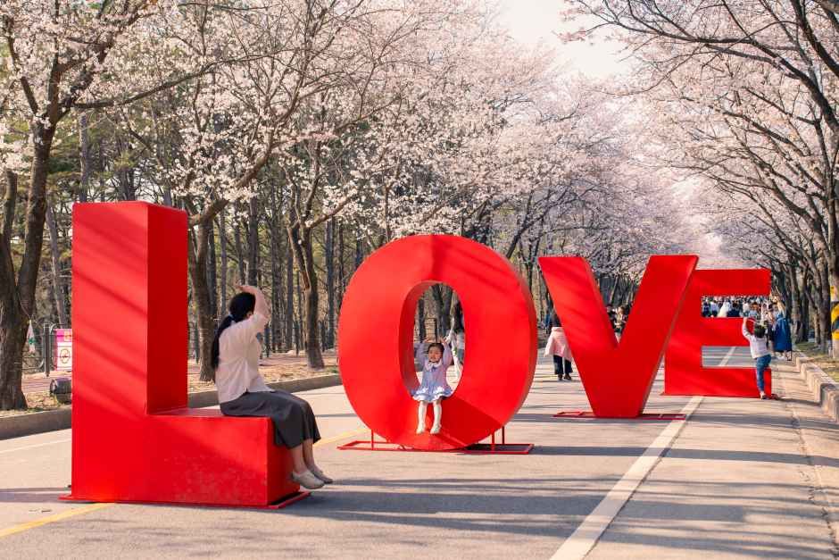 2026 여주흥천남한강 벚꽃축제 (13).jpg