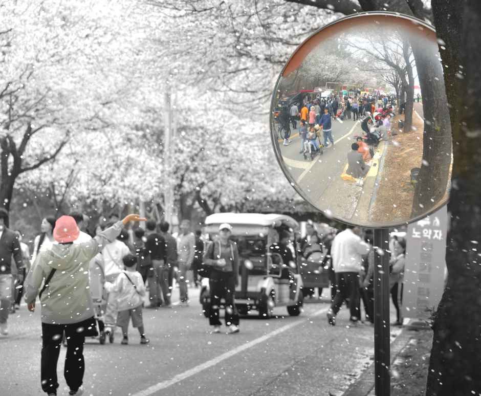 2026 여주흥천남한강 벚꽃축제 (12).jpg