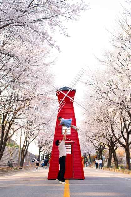 2026 여주흥천남한강 벚꽃축제 (11).jpg