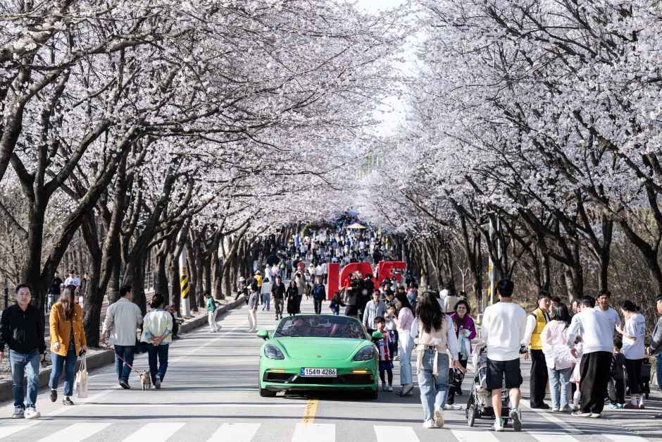 2026 여주흥천남한강 벚꽃축제 (5).jpg