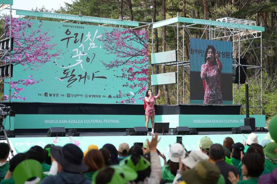 2026 비슬산 참꽃문화제 (4).JPG