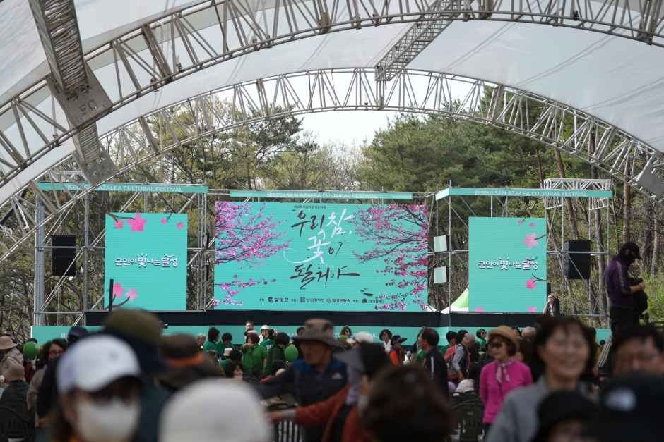 2026 비슬산 참꽃문화제 (2).JPG