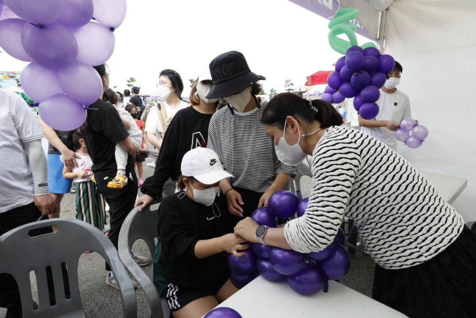 화성송산포도축제 4