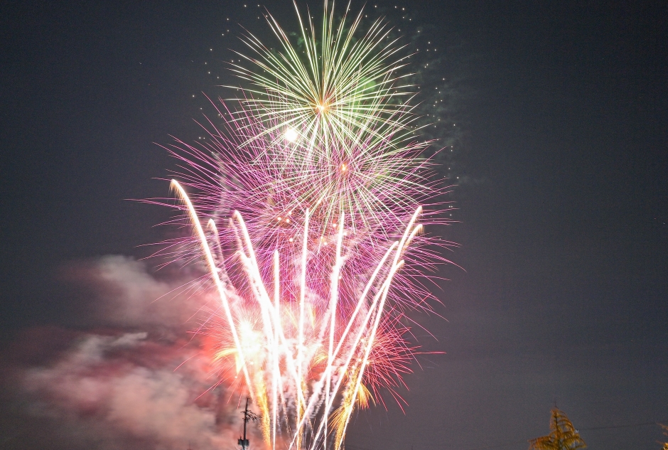 2024 의좋은 형제 축제 8