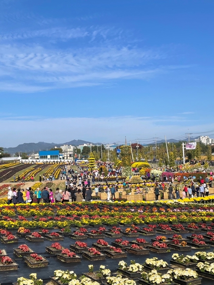 연천국화전시회 (3)